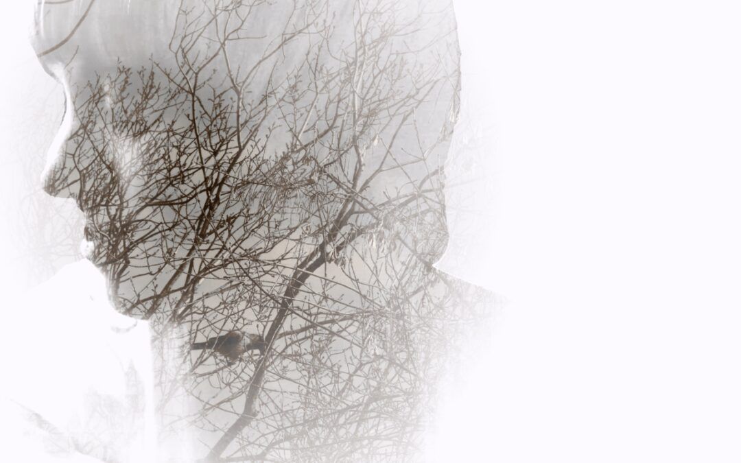 Identifying and Integrating your Shadow: A Step by Step Process - blog | inneralchemy.co.za