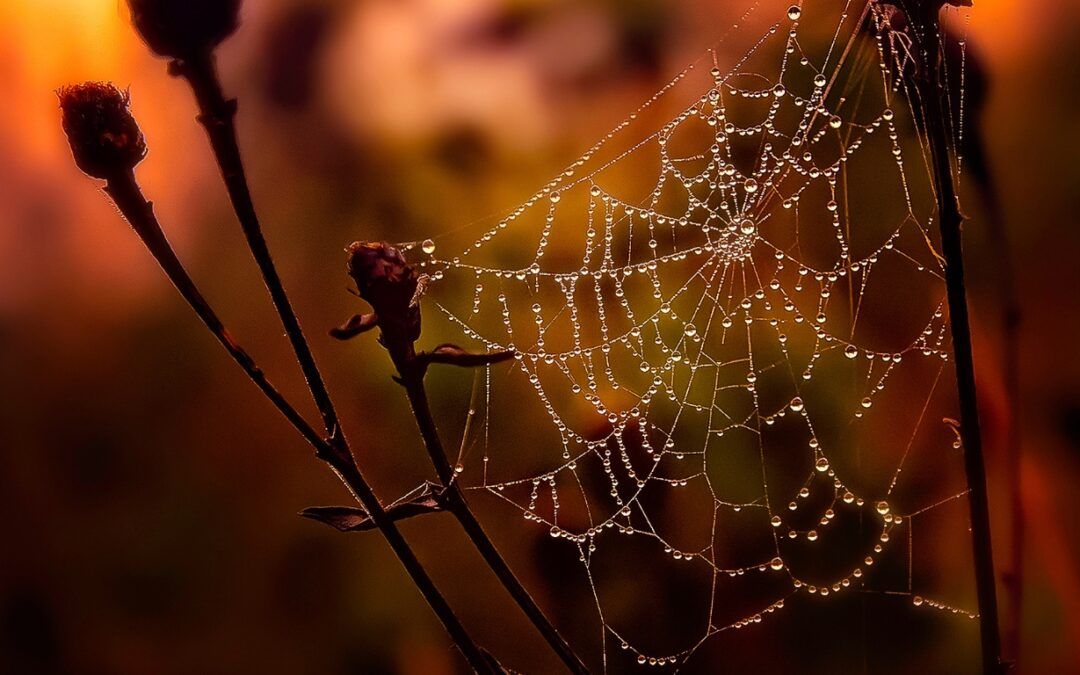 What happens when we work together - how I weave, a blog post | inneralchemy.co.za