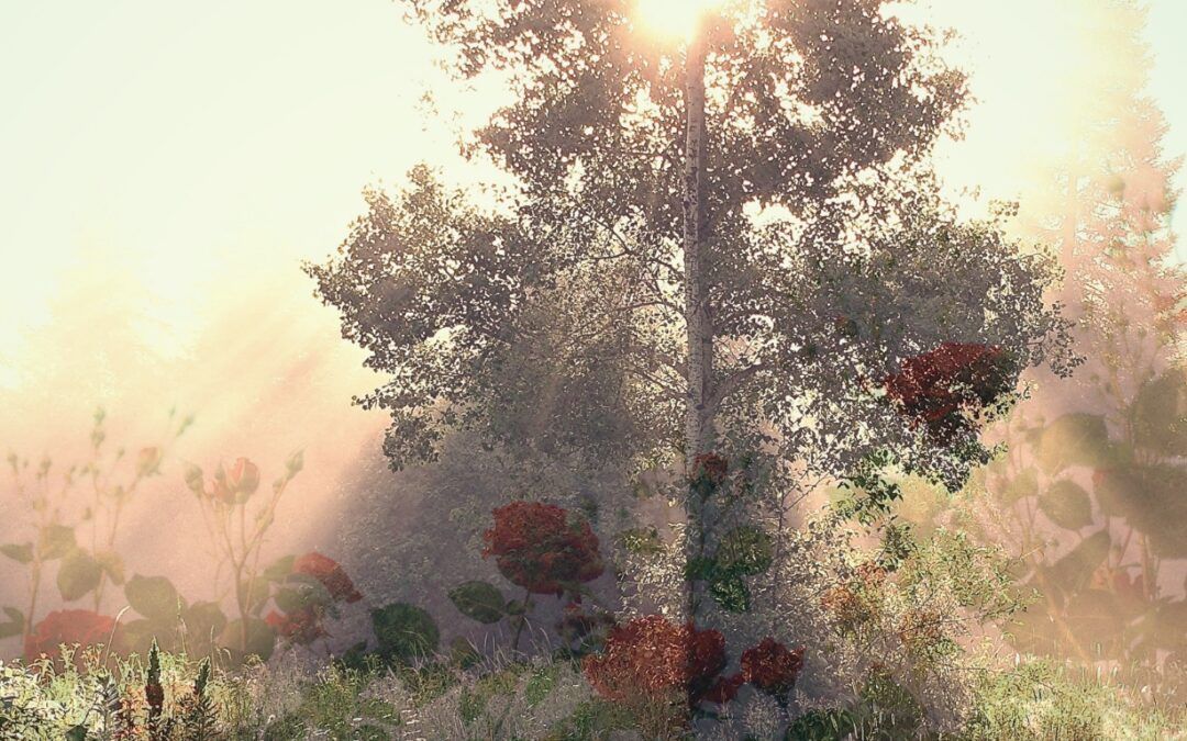 Being Rooted: The Inner Drive for your Life’s Work