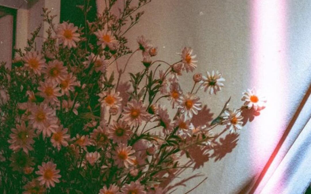 How an emotional pattern showed me one of my greatest gifts | inneralchemy.co.za