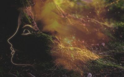 Being Rooted: The foundation for your life’s work