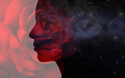 The (R)evolution of the Heart: Learning to hold more